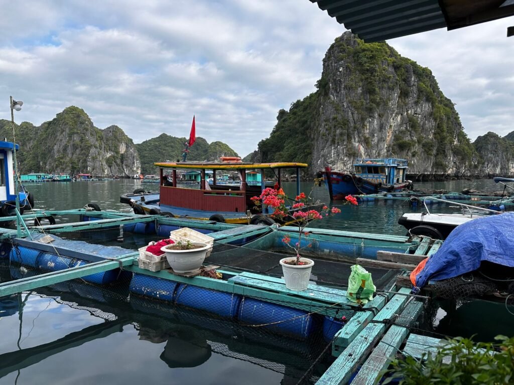  Cat Ba Island