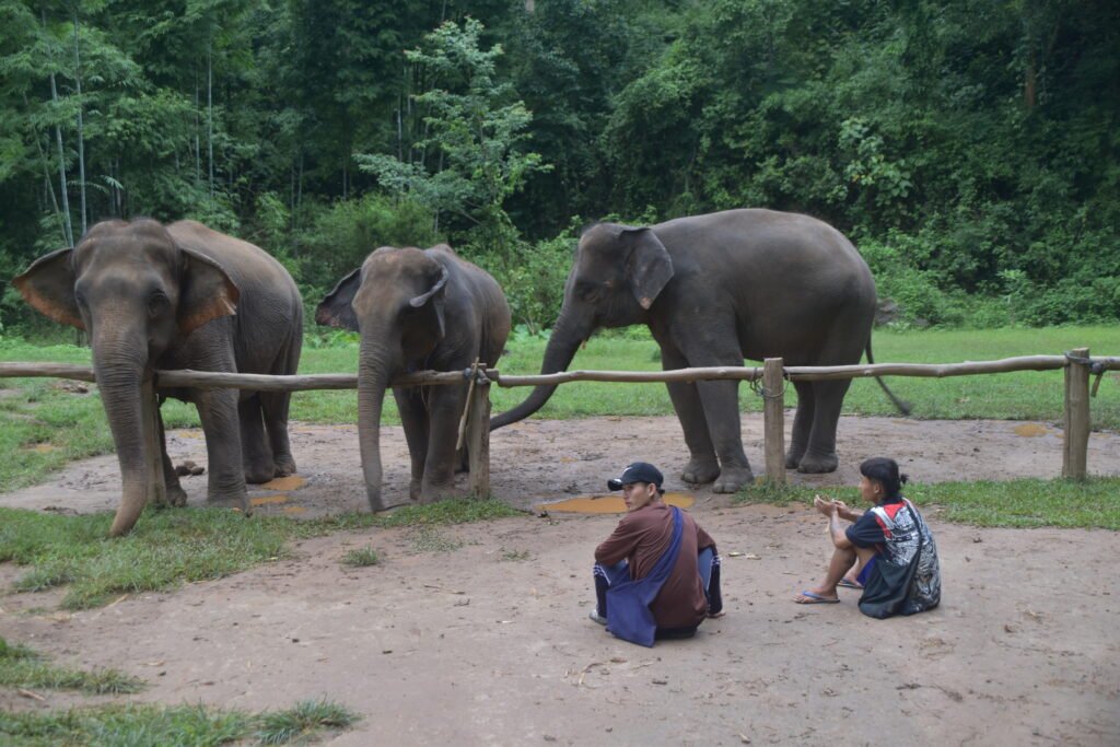 The unforgettable places in Thailand