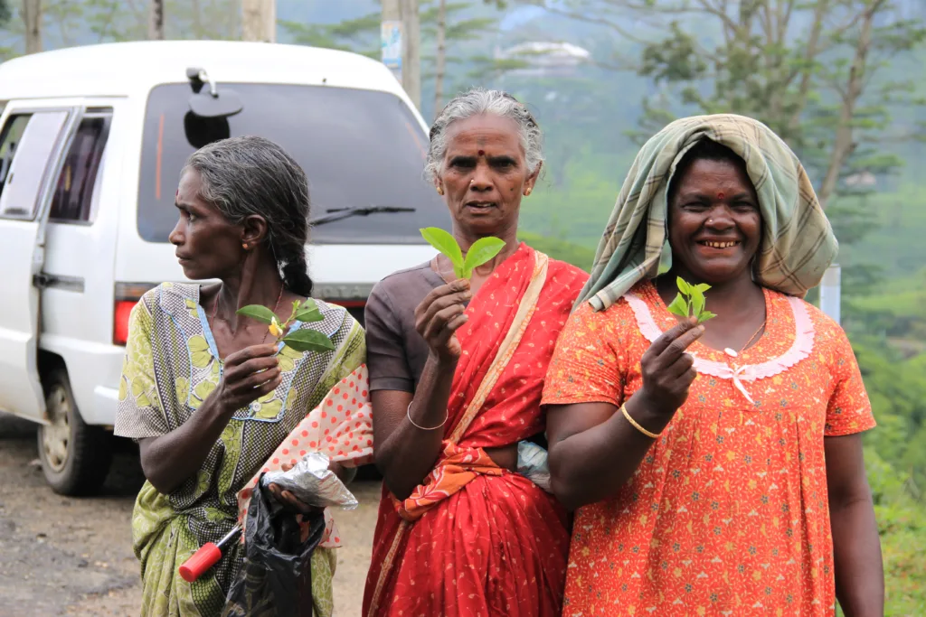 סרי לנקה (507)